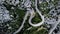 A top-down aerial view on mountainous curvy road Nus de Se Calobra