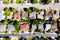 Top down aerial view of urban houses and streets in a residential area of a Sonoma California United States