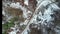 Top down footage of a family of five and three dogs standing in winter nature