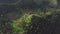 Top down green hill aerial: burnt grass on mount peak, greenery tropical plants. Philippines nature