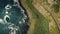 Top down Ireland shore road aerial view: green grass and trees at rural way. Ocean Irish coast