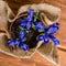 Top down of iris flowers in burlap on wooden background