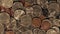 Top Down Panning shot of American Coins - Quarters Dimes Nickels Pennies