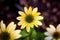 A top down portrait of a mellow yellow flower or scientifically known as the echinacea purpurea.mul