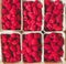 Top down view on boxes of raspberries