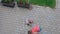 Top-down view on children drawing on paving slabs watching him.