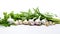 A top-down view of fresh garlic bulbs and an assortment of aromatic culinary herbs like rosemary, thyme, and basil