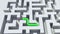 Top down view of a green line going through a maze