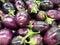 Top-down view of a heap of Brinjal on market .The name as called egg fruit, aubergine