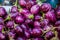 Top-down view of a heap of Brinjal on market .The name as called egg fruit, aubergine, Solanum melongena for sale in a vegetable