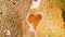 Top down view orange heart shape form on mud volcanoes site in chachuna nature reserve, VAshlovani national park