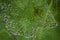 Top down view of sheep pasture on green meadows, Dolomites