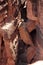 Top-down view of some huge rocks, broken and leaning against others.