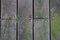 Top down view of wooden plank with texture, moss, algea, cracks and nails on an outdoor walkway