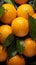 Top-Down Zest: Glistening Fresh Oranges in a Seamless Display