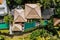 Top drone view of luxury hotel with straw roof villas and pools in tropical jungle and palm trees. Luxurious villa