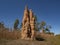 Top End Australia Tall cathedral termite mound