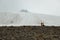 The top glacier at Kebnekaise`s southern peak Sweden