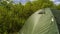 Top of a green tourist tent on a background of trees. Picnic in the nature. Outing of tourists.