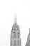 Top half of Empire State Building with tower lost in fog.