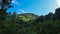 The top of the hill, immersed in greenery, which is illuminated by the rays of the sun.