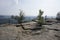 The top of Lilienstein mountain with beautiful rock ground, Saxon Switzerland