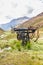 Top loading station, remains of aerial ropeway, Cwm Bychan