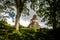 Top of mayan Temple I Gran Jaguar at Tikal National Park - Guatemala