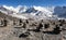 Top of mount Makalu, Kali Himal, beautiful mountain