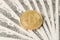 Top overhead above close up view photo image of golden bitcoin laying isolated on pile heap fan of american dollars