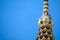 The top of the pagoda is a statue of the Brahma image abd blue sky