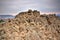 On the top of Panska skala rock named Organs in czech landscape at end of winter 2018