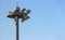 Top part of tall and high airport light pole with clear sky as background