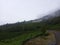 The top of the Rimau monument, Mount Dempo Pagaralam