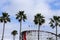 Top of roller coaster and palm trees and cloudy blue sky