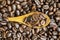 Top side view of a spoon filled with coffee beans