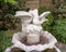 Top of a stone birdbath surrounded by hibiscus flowers and green vegetation at outside First Baptist Church of Arlington.