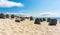 Top of Tetrapods at HÃ¶rnum Beach