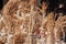 Top of tied bunches of garlic on counter with selective focus