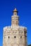 Top of the Torre del Oro, Seville, Spain.