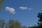 Top of trees over pollution and plane free blue sky