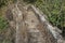 Top of an Unrestored Ancient Flour Mill on the Hermon Stream in Israel