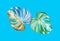 Top veiw, Bright fresh two monstera leaf isolated on cyan background for stock photo or advertisement, Genus of flowering plants,