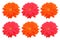 Top veiw, brigness collection three daisy flower red and orange color blossom blooming isolated on white background for stock