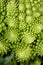 Top vertical view of romanesco broccoli