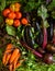 Top view abundance fresh multicolored vegetables on table indoors