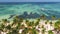 Top view aerial drone shot of beach with green coconut palm trees