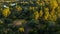 Top view aerial of horses in the beautiful fields of Spain at sunset time