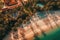 Top view aerial photo from drone of beautiful tropical coastline, resort, AI Generated