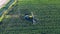 Top view of an agricultural machine fertilizing a massive field